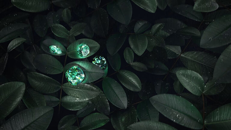 swarovski 