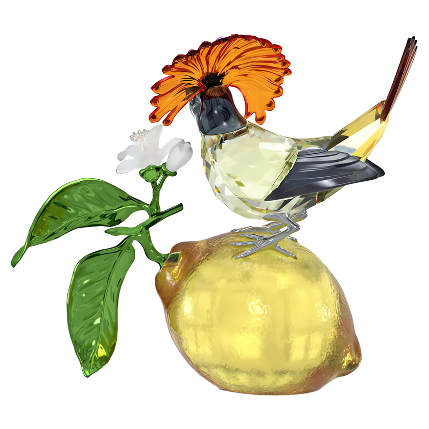 swarovski idyllia royal flycatcher