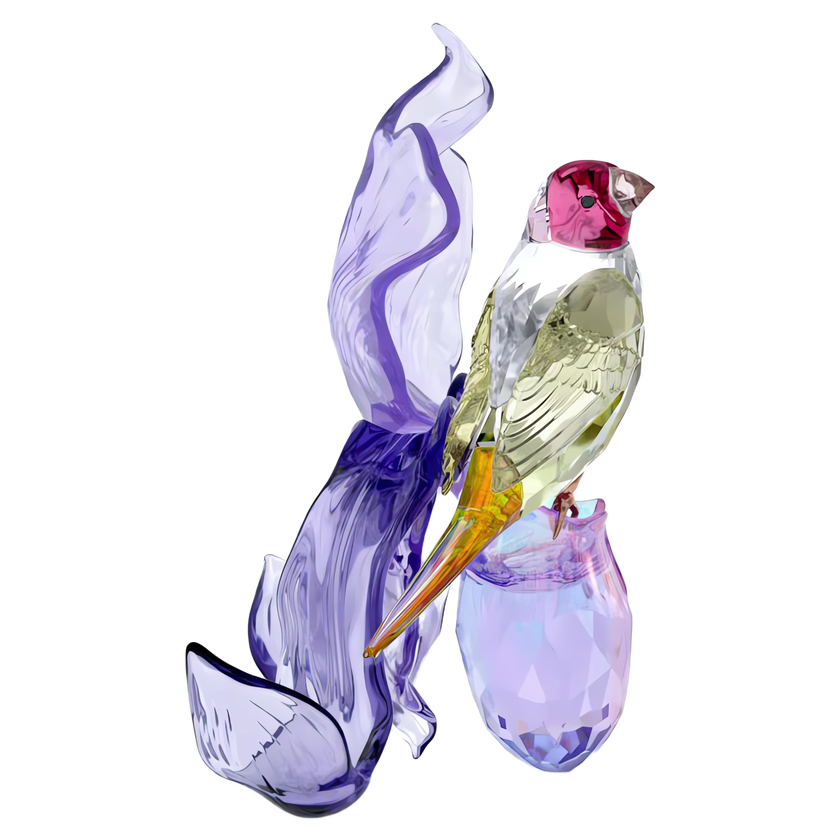 swarovski idyllia gouldian finch and orchid