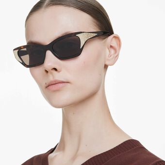 swarovski sunglasses  cat eye shape  sk6029  brown