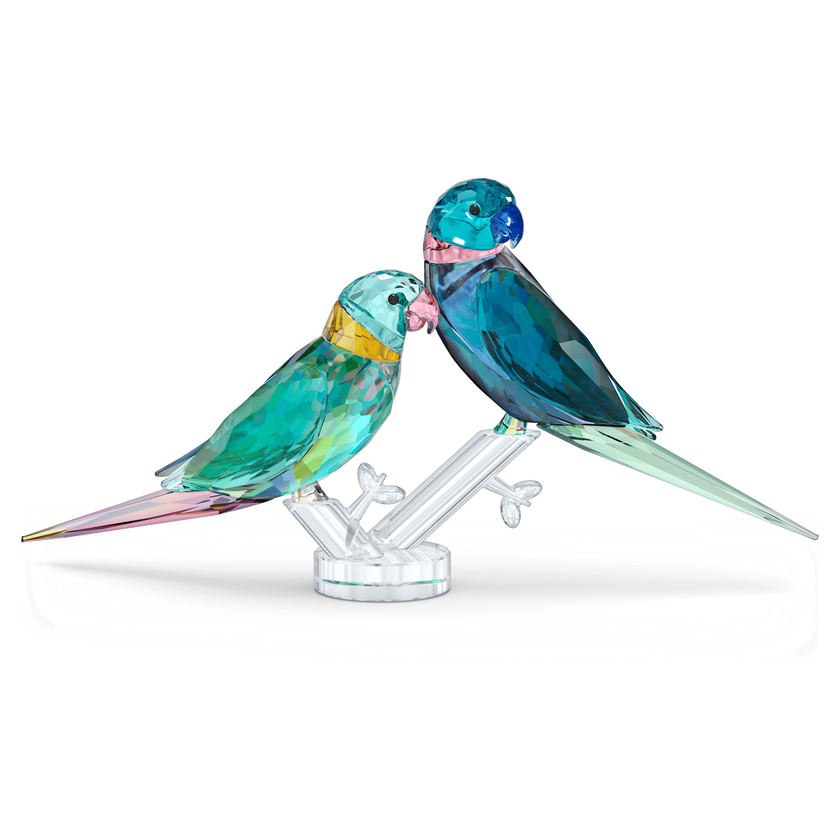 swarovski jungle beats parakeet couple fife   fifer