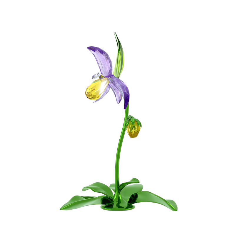 swarovski florere lady slipper orchid