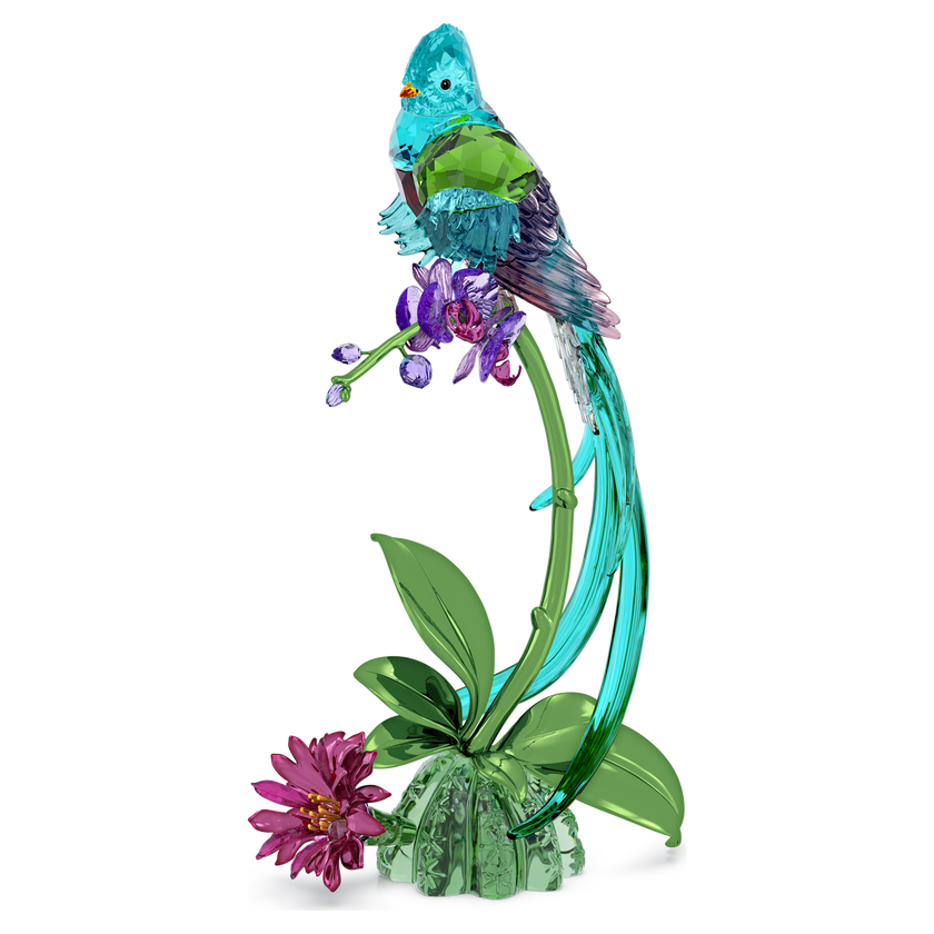 swarovski idyllia quetzal and orchid
