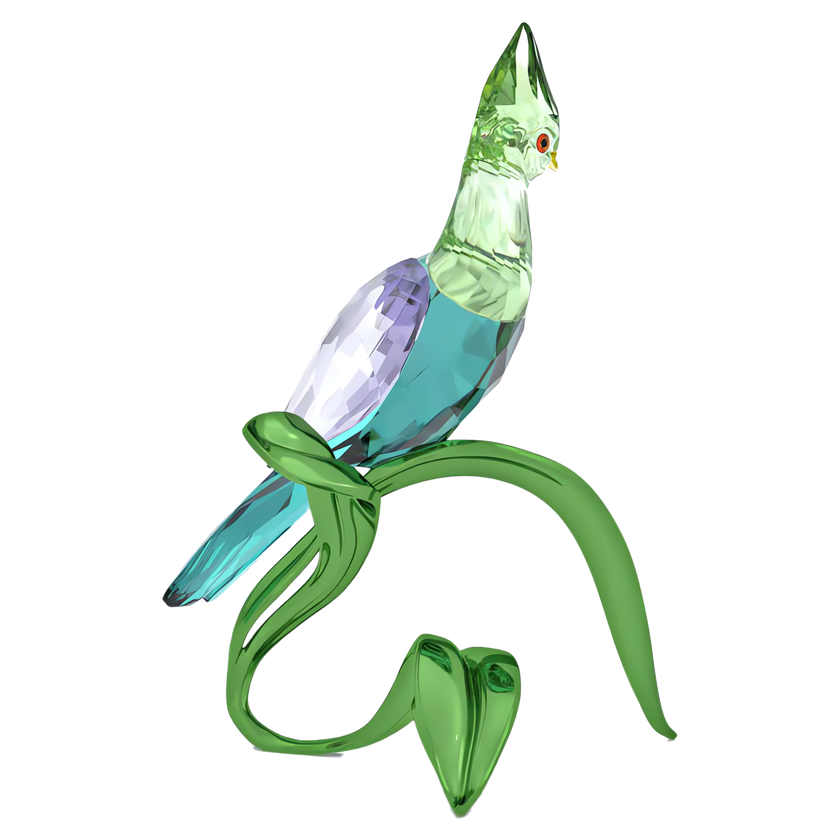 swarovski idyllia green turaco
