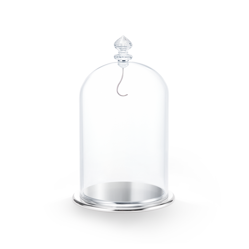 Bell Jar Display, large