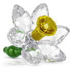 swarovski florere daffodil