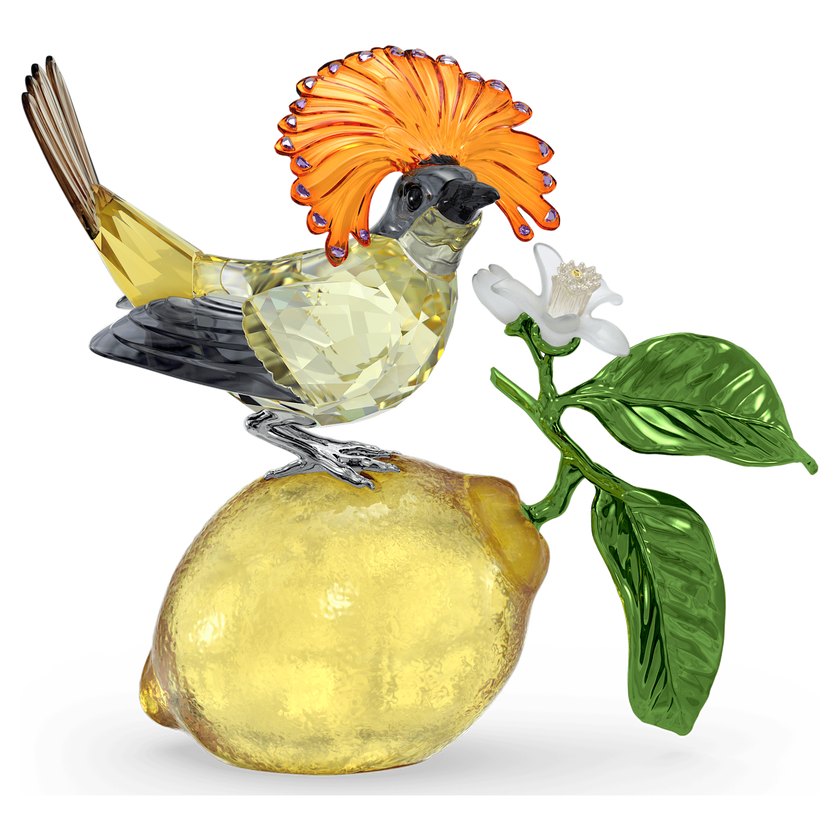 swarovski idyllia royal flycatcher