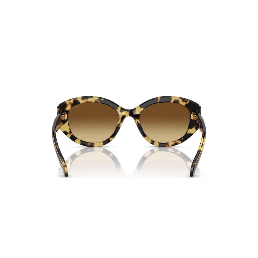 swarovski sunglasses  cat eye shape  sk6008el  brown