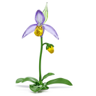 swarovski florere lady slipper orchid