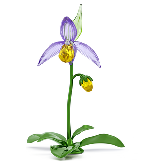 swarovski florere lady slipper orchid