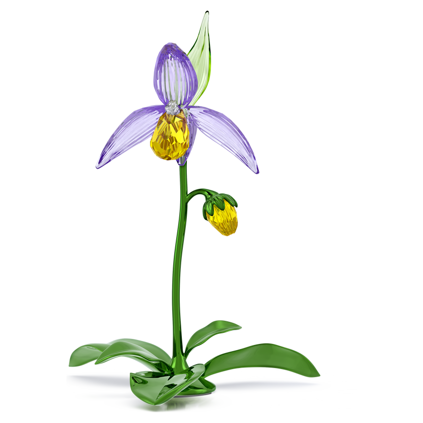 swarovski florere lady slipper orchid