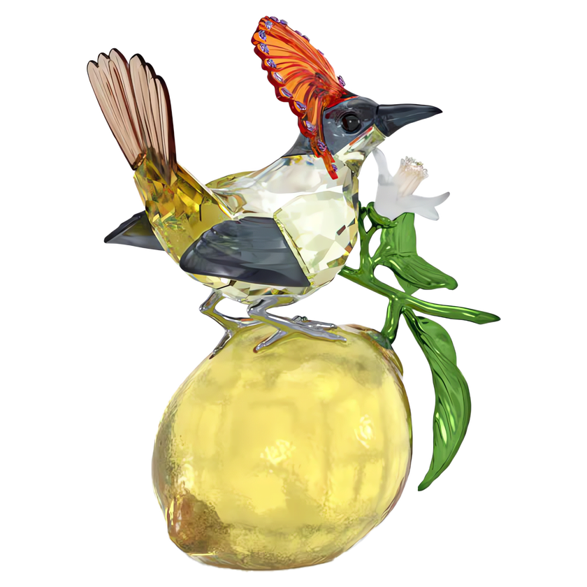 swarovski idyllia royal flycatcher
