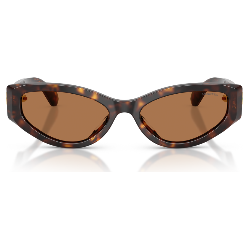 swarovski sunglasses  cat eye shape  sk6045  brown