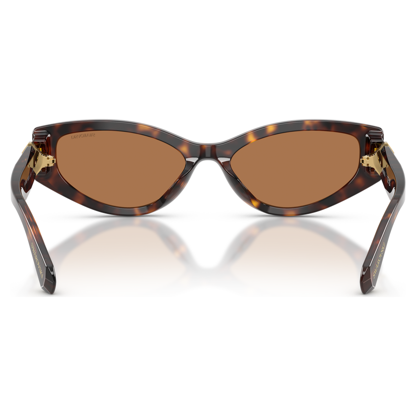 swarovski sunglasses  cat eye shape  sk6045  brown