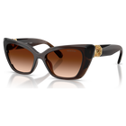 swarovski sunglasses  cat eye shape  sk6047  light brown