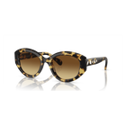 swarovski sunglasses  cat eye shape  sk6008el  brown