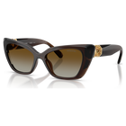swarovski sunglasses  cat eye shape  sk6047  dark brown